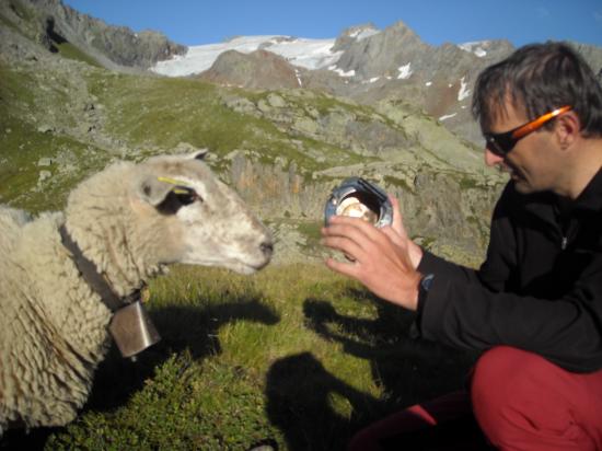 Un coup de main (de pattes) inattendu pour la vaisselle