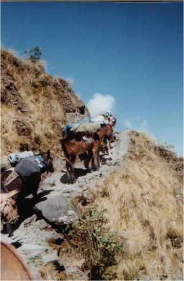Départ du trek d'approche