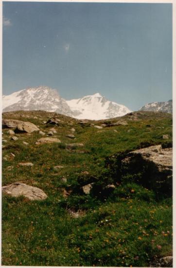 Le Grand Paradis